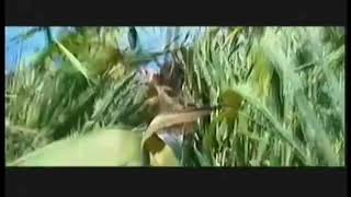 Noctem (2003) - Trailer (16:9)