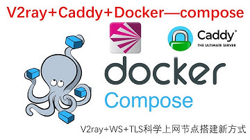 2020最新官方镜像V2Fly/V2ray+Caddy+Docker- compose科学上网节点搭建|Caddy一键申请TLS证书自动申请续签