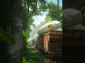 Nature exploration: Giant python in Amazon staff abundant in train 😨🚆#viral#shorts #wildlife#amazon.