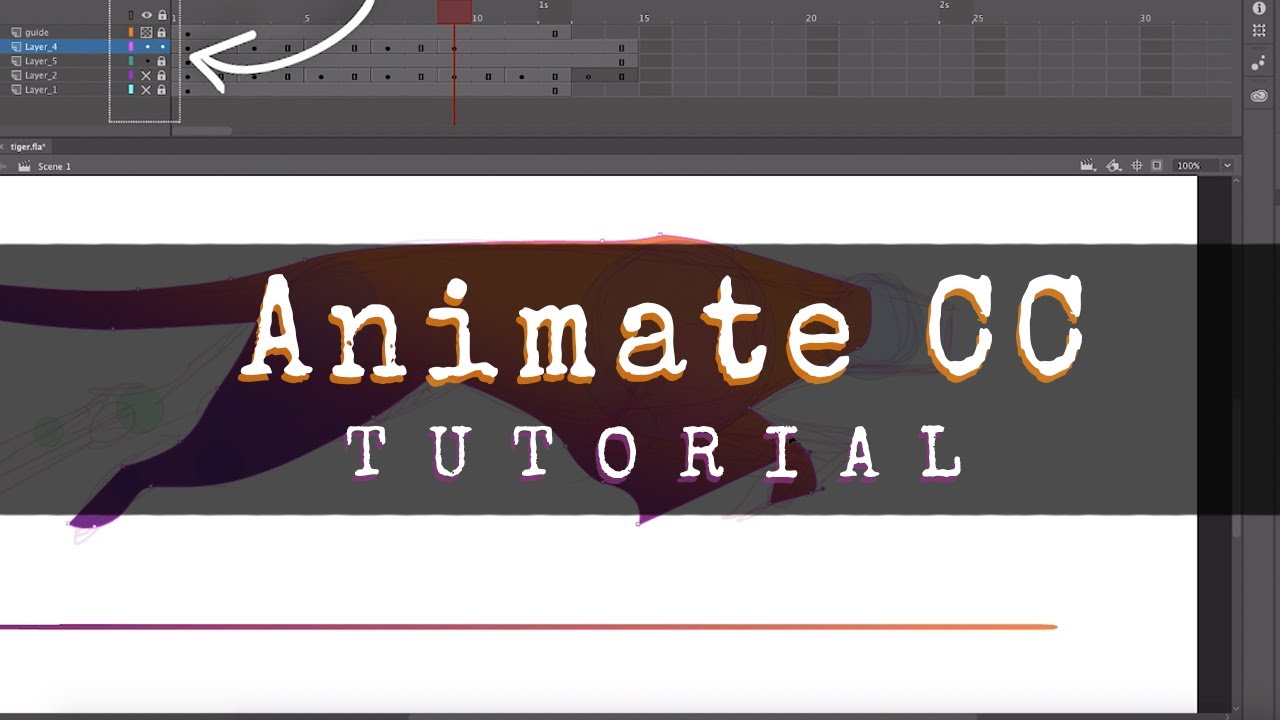 Animate CC || beginners tutorial - YouTube
