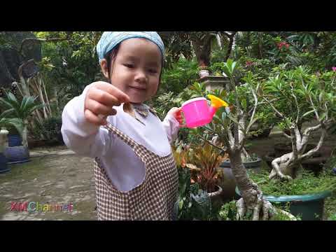 Video Bé Đi Tưới Cây ❤ - youtube