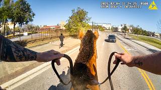 Police Horse Chases Fleeing Drug Dealer
