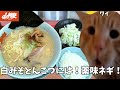 【山岡家】濃厚白みそとんこつラーメンをリベンジだ!薬味ネギとライスも頼んで腹パンになれ!!という話【クセになる味】#猫ミーム #猫マニ