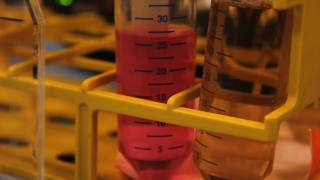 Ohio State Breaks Down Barriers in Treating Cancer