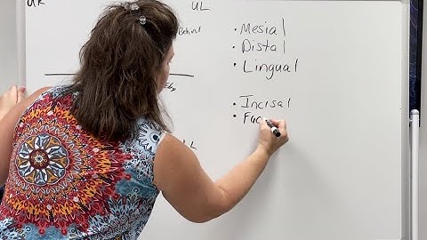 The 5 surfaces of each tooth