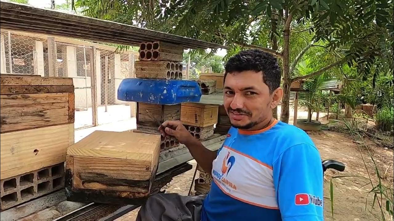Nueva ranura de dar