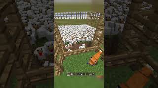 creating a chicken explosion Net Worth