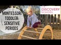 Montessori toddler sensitive periods