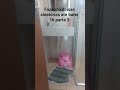 e hoje eu liguei uma escova elétrica #viral #memes #trendingshorts