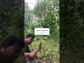 panen buah lagi kita gaes #trending #nature #farming #nk