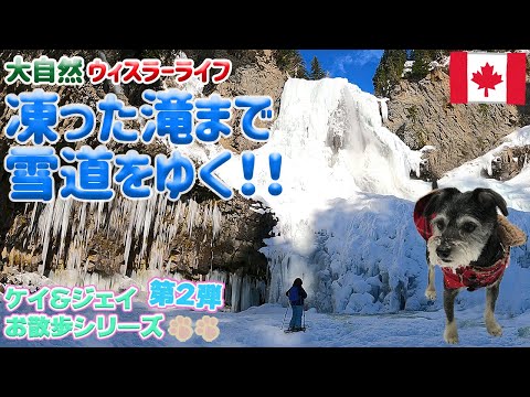 カナダ情報 Youtube