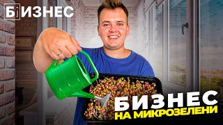 ОТКРЫЛ БИЗНЕС НА БАЛКОНЕ: бизнес на микрозелени с нуля.