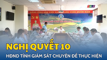 HĐND tỉnh giám sát chuyên đề thực hiện Nghị quyết 10 của Ban Thường vụ Tỉnh ủy | THLC