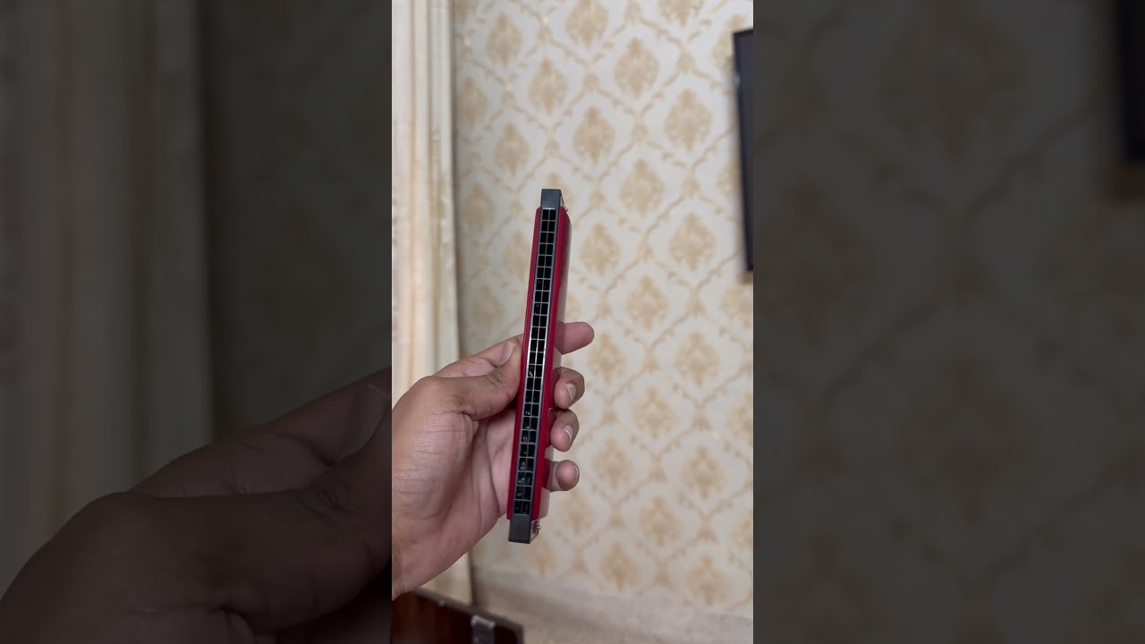 Bee harmonica or mouth organ 