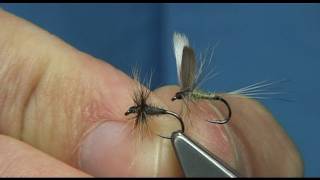 Tying 2 of My Favourite Dries with Davie McPhail.