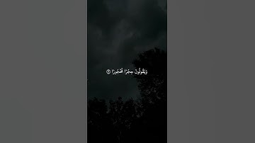 القارئ به لين محمد