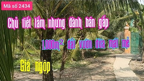 Bán 1 công đất vườn dừa, giá 770 triệu ở Tiền Giang - MS 2434