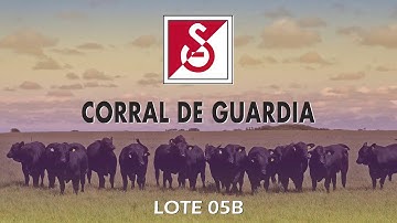 Remate Resistencia -  Lote 05B