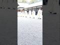 伊勢神宮 祈年祭2026年2月17日 thumbnail