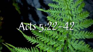 Acts 5:22–42