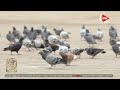 مصر أرض المجددين تعرف على مسقط رأس الشيخ مصطفى عبد الرازق باشا ومشروعه التجديدي 