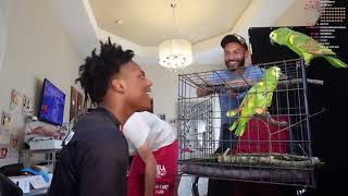 Ishowspeed buy’s a parrot (bad idea)