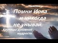 Помни Иова и никогда не унывай. Духовные зернышки. Советы Митрополита Владимира Тихоницкого.