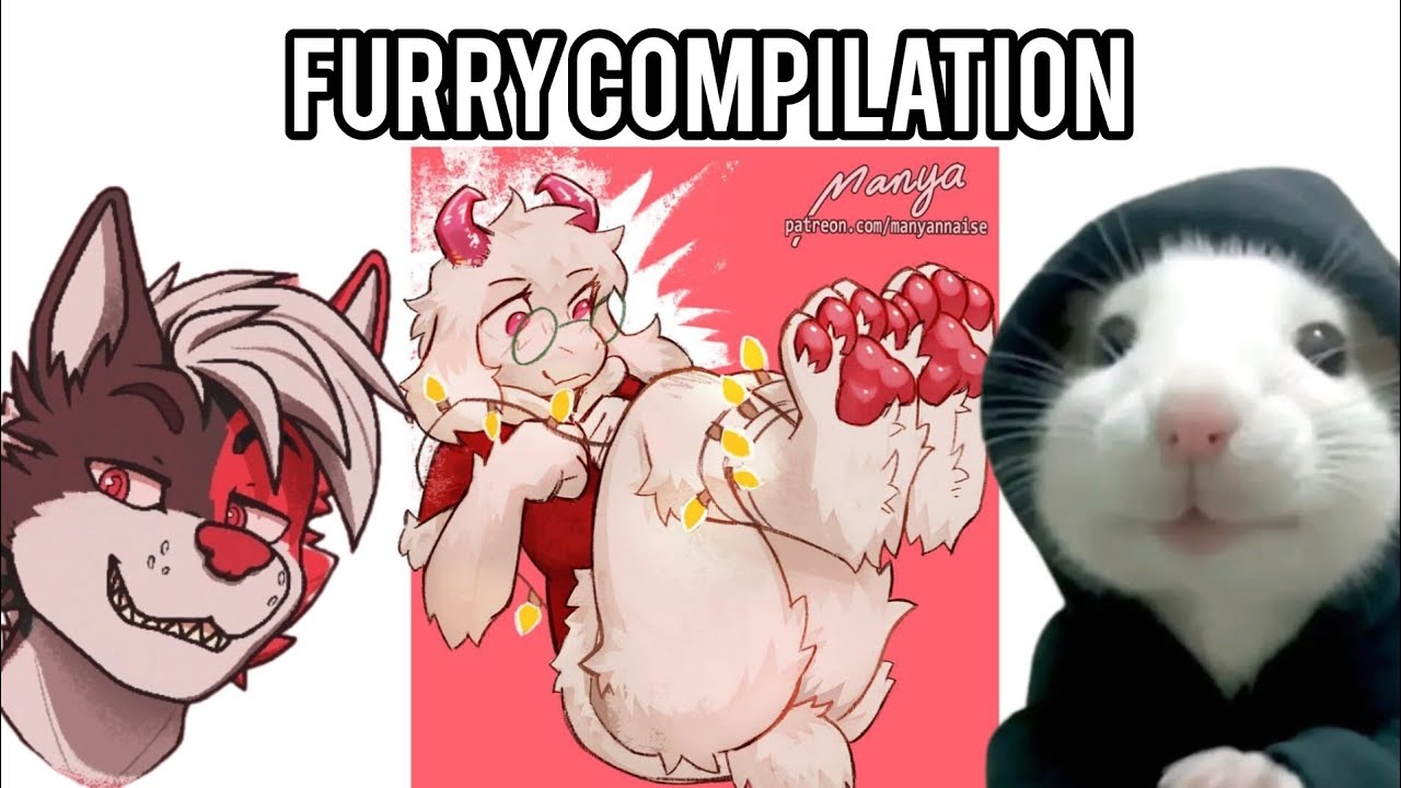 Ultimos Videos Furrys De Este Año🎉✨ #51