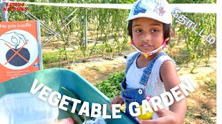 farme vlog/ La ferme de Gally,Versailles France/ Vacation vlog/fresh vegetables and fruits Garden