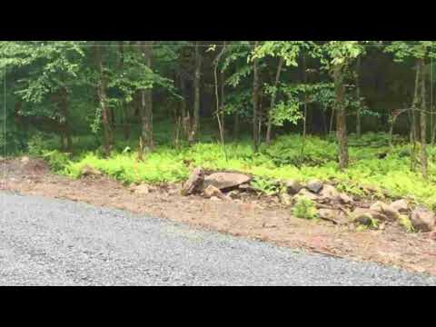 12 Birch Crest Dr, Grafton, NY home video tour
