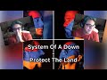 System of a down  protect the land reaction