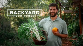 7 Years Growing a MASSIVE Food Jungle in the Suburbs | PARAGRAPHIC