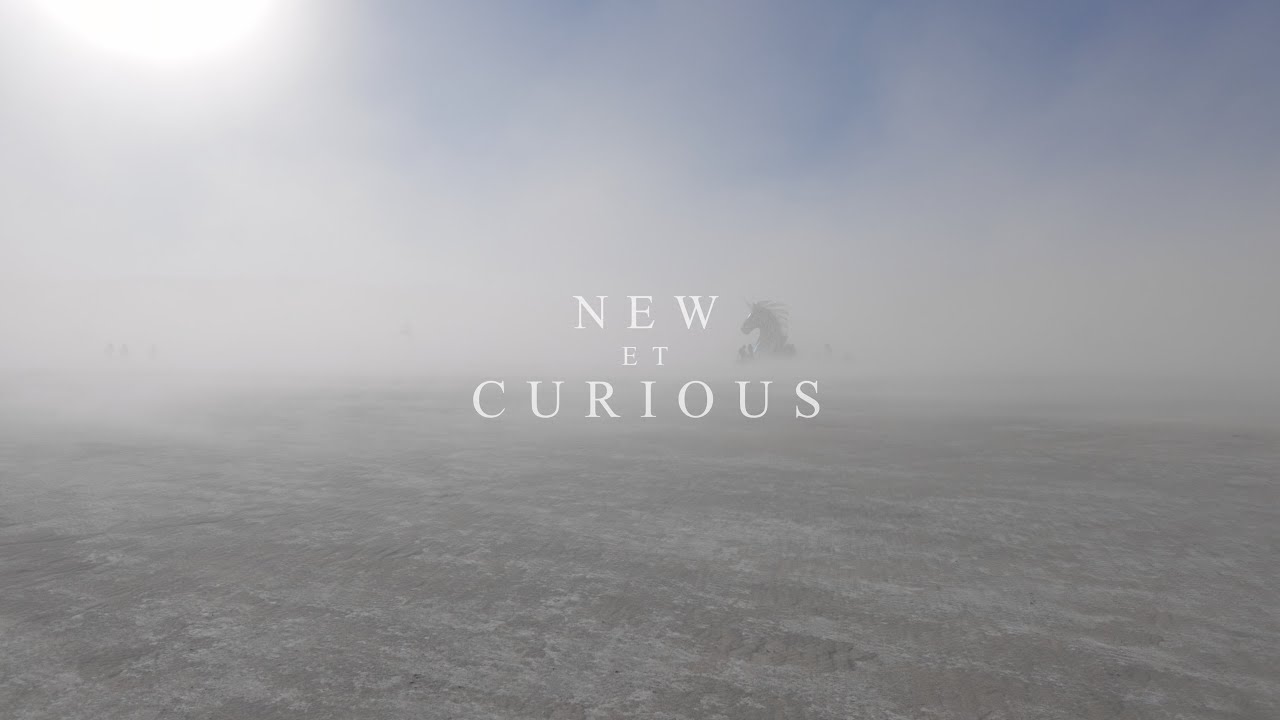 NEW et CURIOUS - Burning Man 2024 (New)