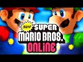 Jouer  mario bros ds mais en online  avec 10 joueurs