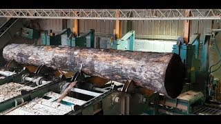 Scie à grumes Gros bois - Douglas - Log bandsaw large log