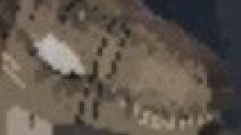 SPEED HACKING CAUGHT IN 4K.