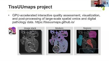 Expertise at the BioImage Informatics Unit (BIIF) | Image Analysis session