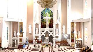 LIVE - Biserica Romano-Catolică  Sfinţii Petru si Paul  Bacau
