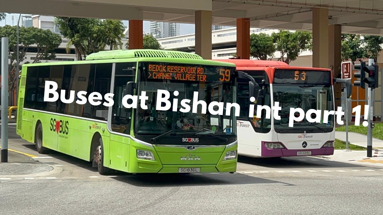 Buses at Bishan interchange, 2026 part 1