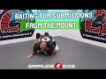 Baiting your opponent for submissions from the mount by jason scully