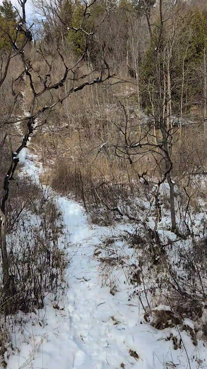 Shortcut