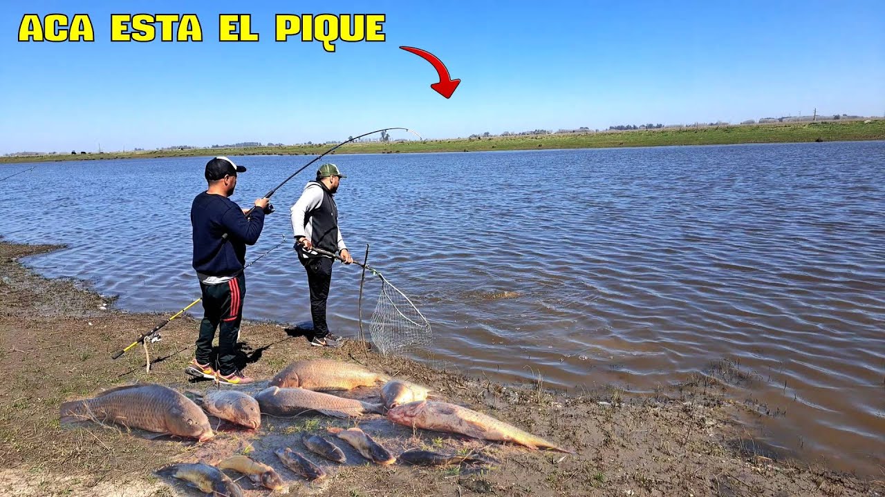 SI LO CONTAMOS NO NOS CREEN, LA MEJOR PESCA DEL AÑO, EL RIO SAMBOROMBON MAS VIVO QUE NUNCA!