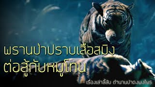 เรื่องลี้ลับ EP10 พรานป่าปราบเสือสมิง สู้กับหมูโทน (เรื่องเล่าจากป่า)