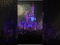 Walt Disney world castle show 2019