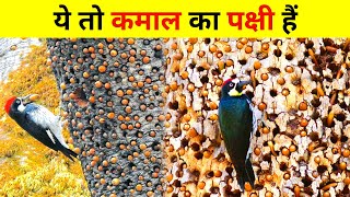 दुनिया के 5 सबसे गज़ब के जानवर | 5 Most Amazing Animals in the World | Secret Sach