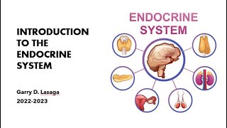VET ENDO | Introduction to Endocrine System | AY 2022-2023 (1)