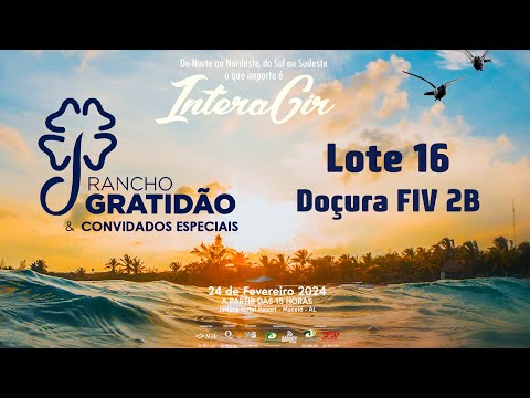 Lote 16   Doçura FIV 2B   ZAB 2217