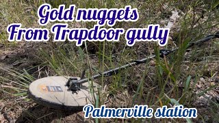 Detecting Trapdoor gully for gold on Palmerville station