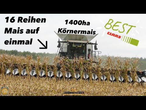 Körnermais ernten - Mähdrescher Lexion Claas 670 TERRA TRAC - combine harvester corn harvest 2018