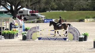 King Vendi & Melanie McJannet 1.20m HITS Ocala 2020